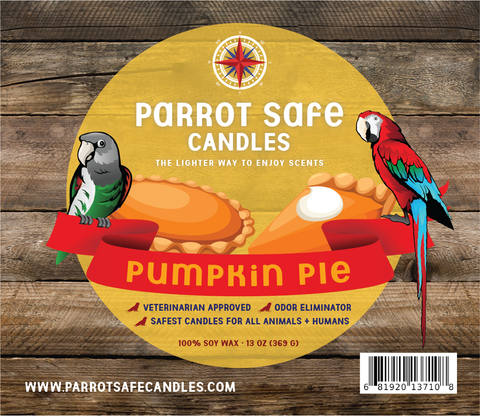 Pumpkin Pie Wax Melt
