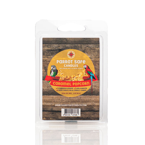 Caramel Popcorn Wax Melt