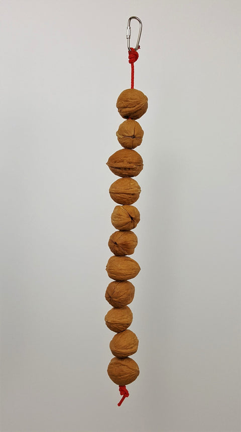 Walnuts on a String