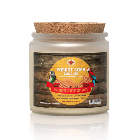 Warm Cinnamon Candle